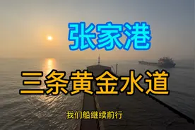 江苏省张家港形成三条黄金水道，各有特点！#记录长江好风光视频封面