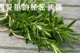 西餐里的秘密武器，味道强烈，10种烹饪方法大揭秘!视频封面