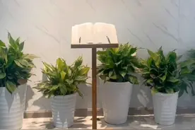 成都一对一上门家教免费试课三位老师视频封面