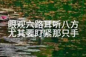 眼观六路耳听八方盯紧那只手视频封面