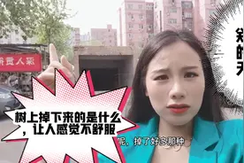 郑州的夏天快来了，中原人和南方人的外貌区别在哪里？？视频封面