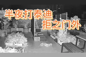 半夜狠打泰迪，并拒之门外，结果意外，主人后悔当初#我在家养狗视频封面