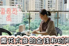59岁独居阿姨，退休养老新生活，租120平房子，过优雅平凡的日子视频封面