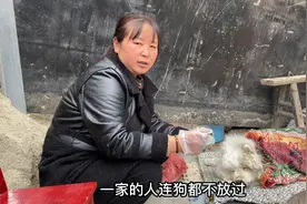 幺妹一家都生病了最担心的十一也发烧了，玛丽也生大病了谁能救它视频封面