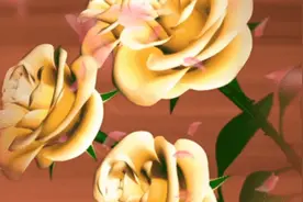 人生生命的意义就是活着，活着的意义就是快乐，快乐时光留住记忆