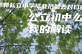 邯郸私立转公立问题，私立小学毕业能再去对口初中么，教育局答复视频封面