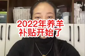 2022年养羊补贴开始了