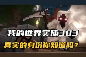 我的世界实体303真实身份曝光，原来他才是最强角色