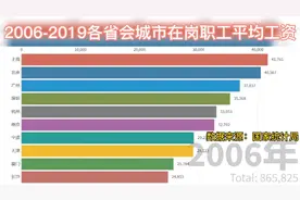 2006-2019各省会城市在岗职工平均工资视频封面