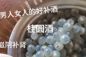 龙眼吃多了，但吃过龙眼酒吗？滋阴补肾的好酒哦视频封面