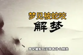 梦见被蛇咬有什么预兆？一位粉丝留言让帮助解梦。