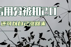 昨天收益2.64，信用分被扣了20分，别慌别慌，用这个办法可以涨回视频封面
