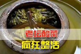 老坛酸菜的由来(穿山甲串场)