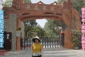 新疆和田无花果王，维吾尔老人说是树上的糖包子，巨甜无比，必尝视频封面