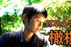 药草小学堂：橄榄视频封面