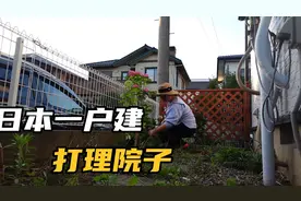 日本邻居家狗总在家门口小便，我是怎么对付它的。院子添颗绣球花视频封面