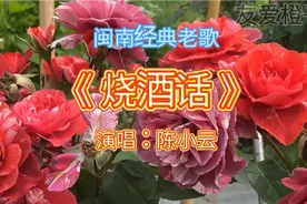怀旧经典闽南语老歌《烧酒话》演唱-陈小云完整版