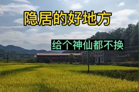 探访湖南大山深处的人家，养点鸡鸭猪日子很惬意，隐居的好地方视频封面