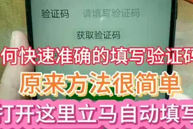 如何快速准确的填写验证码？原来方法很简单，打开这里自动填写