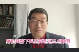 猪价突然下跌主要是这三点原因！是该做出选择的时候了。视频封面