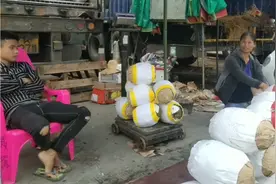 4月28，玉林宏进，越南红肉菠萝蜜跳水价，菠萝控有福了视频封面