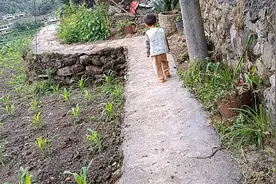 小孩子之间的打闹是很正常的，大人要大度些…无需刻意的去保护谁视频封面