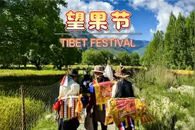 藏族好玩儿的节日，望果节，男女穿盛装转山头，好热闹视频封面