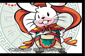 十二生肖之兔子，温顺可爱、平静顺从，落落大方