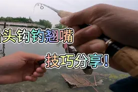 铅头钩钓翘嘴，钩子和饵的大小种类该怎么选？博主又来分享干货了