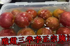 佛山媳妇两分钟教你腌制三华李，酸甜可口，开胃又好吃！视频封面