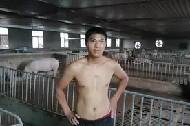 猪场附近发现有其他猪场有非瘟怎么办，用这个办法预防效果很好视频封面