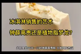 冰淇淋销售的艺术，钟薛高贵还是植物脂梦龙？视频封面