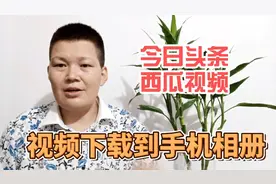 教你把今日头条和西瓜视频里的视频，下载到手机相册里，方法简单