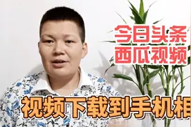 教你把今日头条和西瓜视频里的视频，下载到手机相册里，方法简单视频封面
