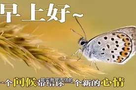 到达人生低谷，没人帮怎么办？视频封面