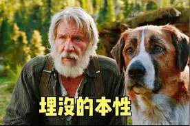 宠物狗逆袭白富美，成为狼王就连棕熊也退让三分，电影解说视频封面