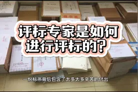 评标专家进入评标室后，是怎么进行评标的？视频封面
