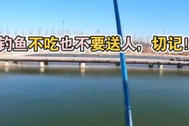 钓鱼不吃也不要送人，切记！不然会后悔 ！视频封面
