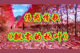 雨露一首伤感情歌《飘零的秋叶》，深情委婉，柔美动听，好听醉人