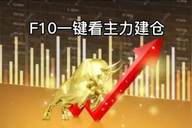怎样跟上基金经理思路？一键F10看主力建仓