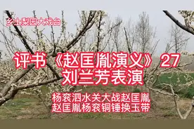 评书《赵匡胤演义》27“杨衮大战赵匡胤 赵匡胤杨衮铜锤换玉带”视频封面