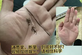 第4节，断掌纹打死人？是真的吗？视频仅供娱乐，相信科学。视频封面