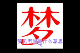 解梦：梦见老鼠    下视频封面