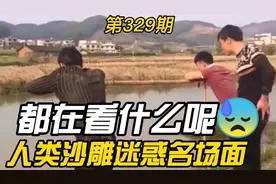 沙雕视频：大伙都往河里看什么？我也看看！人类迷惑行为第329期视频封面
