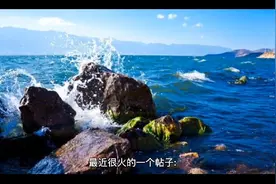 爸爸和妈妈的故事视频封面