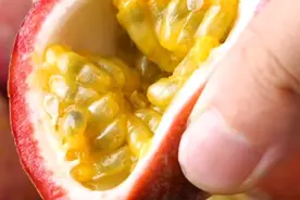 百香果有哪些功效作用?吃百香果有哪些好处?视频封面