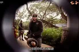 家中被顶级特工入侵，才知道妈妈是神秘特工，狗狗竟然都会说话视频封面