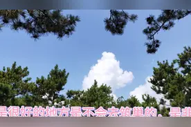 谁知道燕子在家搭窝有什么寓意吗？视频封面