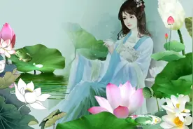 赏花赏月赏荷塘月色视频封面