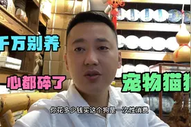 小胖已经定居西双版纳，为何突然要回哈尔滨，因为狗还是另有隐情视频封面